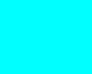 Bright cyan colored background.